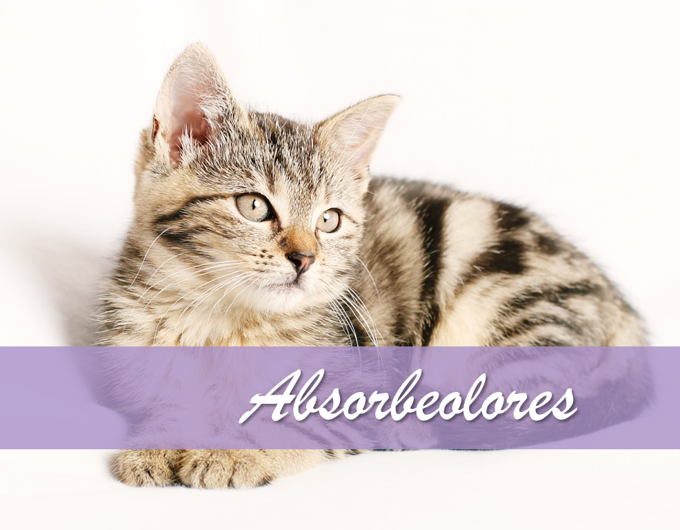 absorbeolores